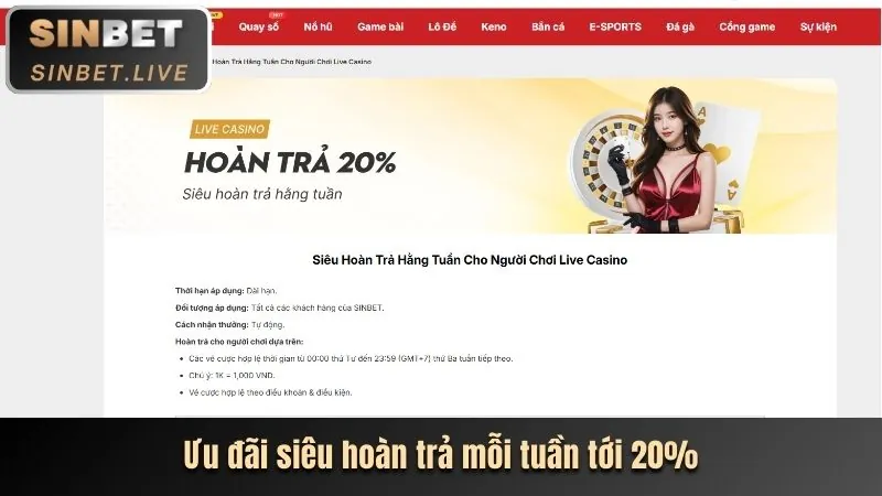 Hoàn trả và Các chương trình VIP